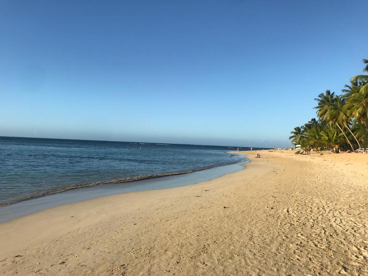 La Cortesana In Las Terrenas Exterior photo
