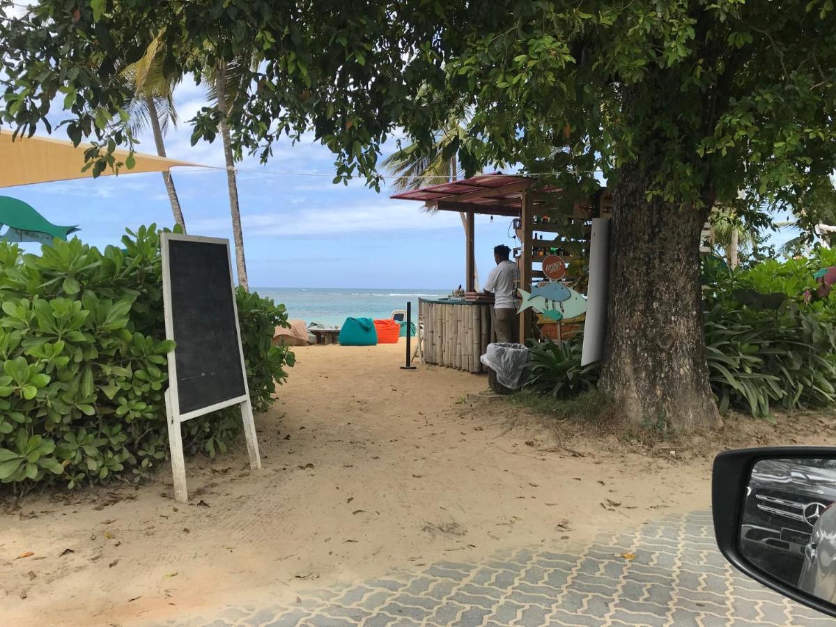 La Cortesana In Las Terrenas Exterior photo