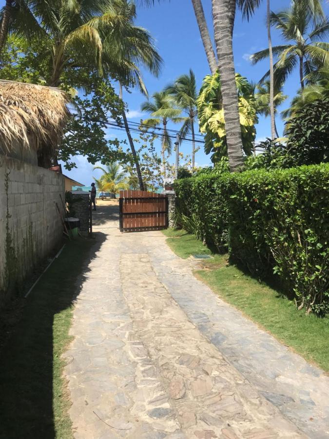 La Cortesana In Las Terrenas Exterior photo